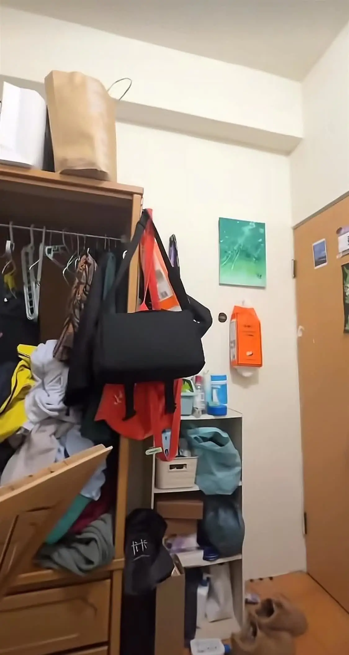 台湾6.6级地震亲历者：书架上的书全都掉了，只能用枕头护住头部