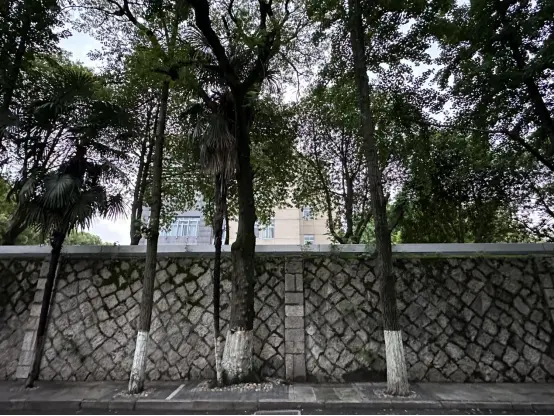 张岱笔下的大能仁寺 | 吴越黄檗踪迹